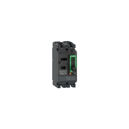 Schneider Electric ComPacT nouvelle génération Circuit breaker, ComPacT NSX100F AC/DC, 18kA/415VAC, 2 poles, TMD trip unit 25A - C10F2TM025