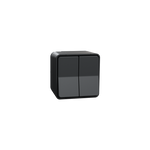 Schneider Electric Mureva Styl 2 Switch, Mureva Styl, complete product, 1-pole 2-way, electromechanical, 10AX, IP55, grey - MUR35022